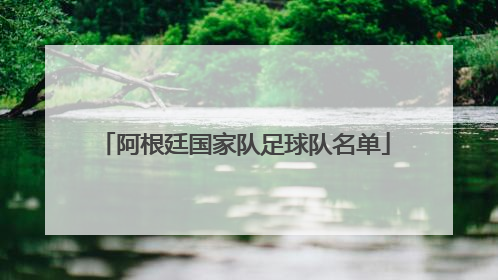 「阿根廷国家队足球队名单」2008奥运会阿根廷足球队名单