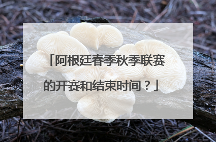 阿根廷春季秋季联赛的开赛和结束时间？