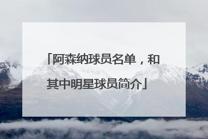 阿森纳球员名单，和其中明星球员简介