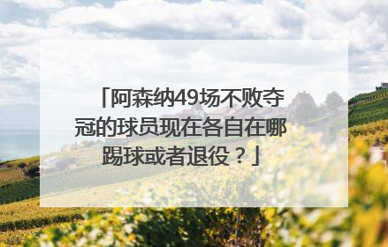 阿森纳49场不败夺冠的球员现在各自在哪踢球或者退役？