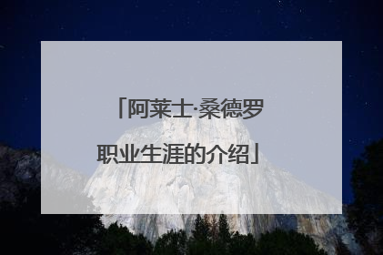 阿莱士·桑德罗职业生涯的介绍