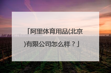 阿里体育用品(北京)有限公司怎么样？