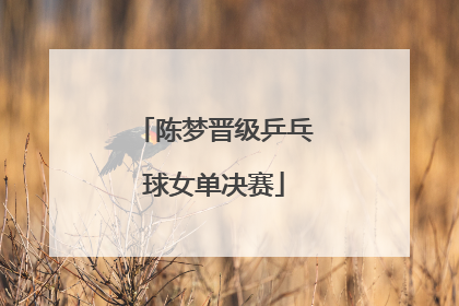 「陈梦晋级乒乓球女单决赛」陈梦晋级女单决赛 新闻