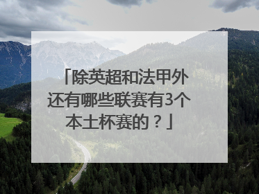 除英超和法甲外 还有哪些联赛有3个本土杯赛的？