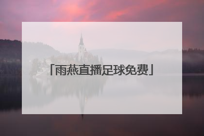 「雨燕直播足球免费」雨燕体育足球直播