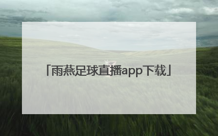 「雨燕足球直播app下载」雨燕足球直播APP