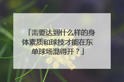 需要达到什么样的身体素质和球技才能在东单球场混得开？