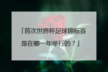 首次世界杯足球锦标赛是在哪一年举行的？