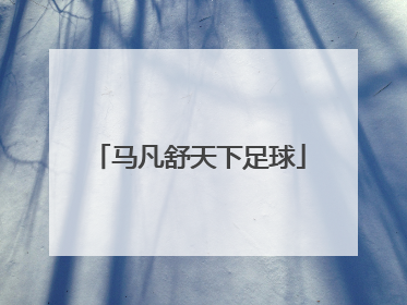 「马凡舒天下足球」马凡舒天下足球搭档