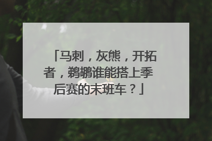 马刺，灰熊，开拓者，鹈鹕谁能搭上季后赛的末班车？