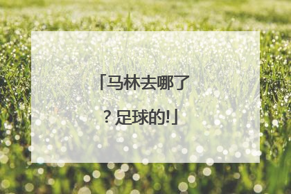 马林去哪了？足球的!