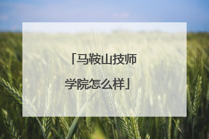 马鞍山技师学院怎么样