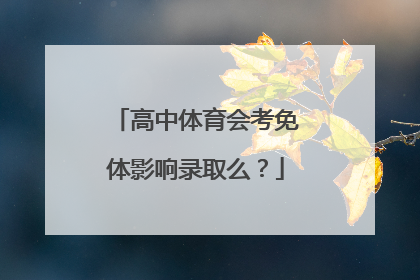 高中体育会考免体影响录取么？