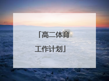 「高二体育工作计划」高二班主任工作计划下学期