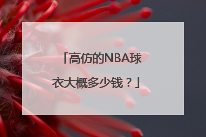 高仿的NBA球衣大概多少钱？