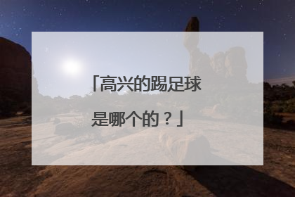 高兴的踢足球是哪个的？