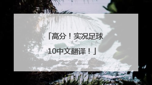 高分！实况足球10中文翻译！