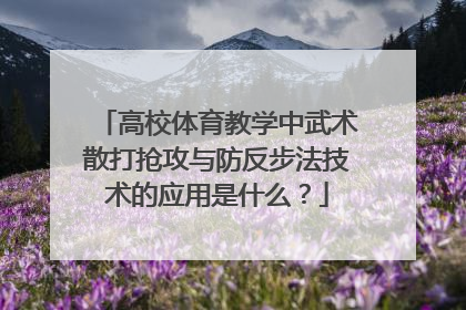 高校体育教学中武术散打抢攻与防反步法技术的应用是什么？