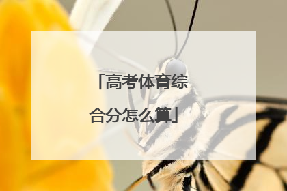 「高考体育综合分怎么算」2021高考体育综合分