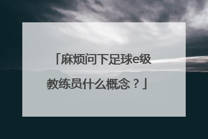 麻烦问下足球e级教练员什么概念？