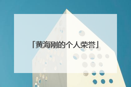 黄海刚的个人荣誉