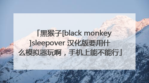 黑猴子[black monkey]sleepover 汉化版要用什么模拟器玩啊，手机上能不能行