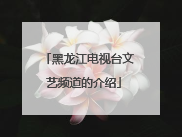 黑龙江电视台文艺频道的介绍