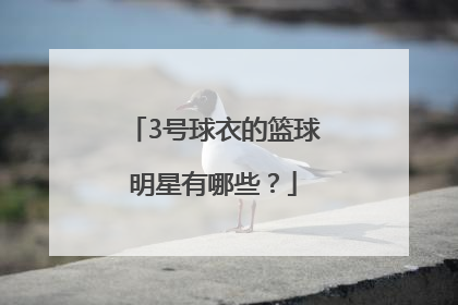 3号球衣的篮球明星有哪些？