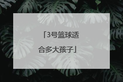 「3号篮球适合多大孩子」7号篮球适合多大孩子使用