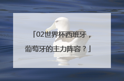 02世界杯西班牙，葡萄牙的主力阵容？