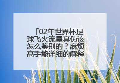 02年世界杯足球飞火流星真伪该怎么鉴别的？麻烦高手能详细的解释一下，谢谢！