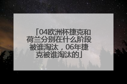 04欧洲杯捷克和荷兰分别在什么阶段被谁淘汰，06年捷克被谁淘汰的