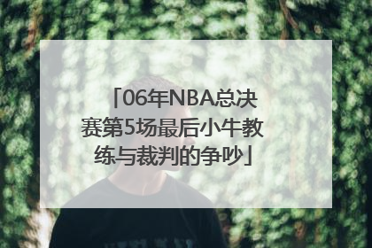 06年NBA总决赛第5场最后小牛教练与裁判的争吵