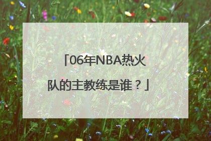 06年NBA热火队的主教练是谁？