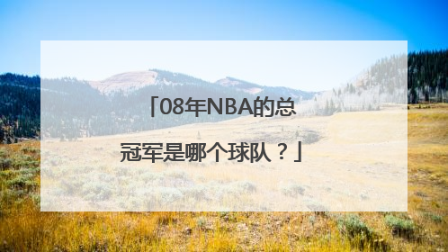 08年NBA的总冠军是哪个球队？