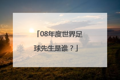 08年度世界足球先生是谁？