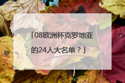 08欧洲杯克罗地亚的24人大名单？