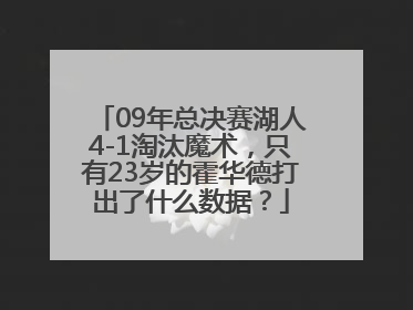 09年总决赛湖人4-1淘汰魔术，只有23岁的霍华德打出了什么数据？