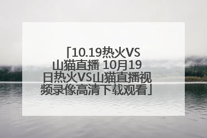 10.19热火VS山猫直播 10月19日热火VS山猫直播视频录像高清下载观看