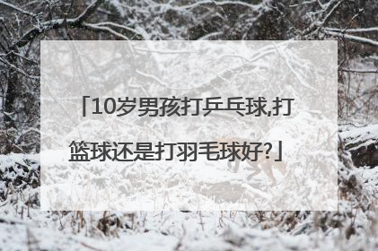 10岁男孩打乒乓球,打篮球还是打羽毛球好?