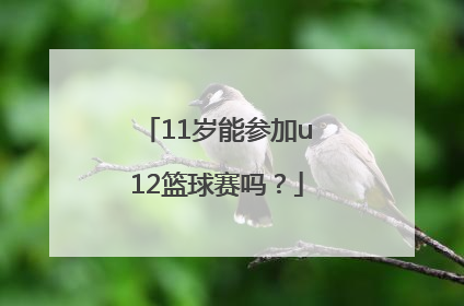 11岁能参加u12篮球赛吗？