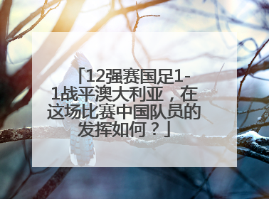 12强赛国足1-1战平澳大利亚，在这场比赛中国队员的发挥如何？