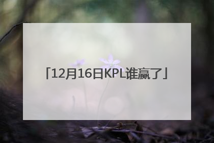 12月16日KPL谁赢了