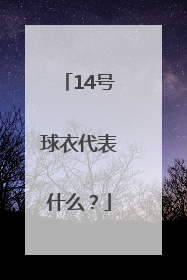 14号球衣代表什么？