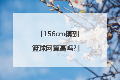 156cm摸到篮球网算高吗?