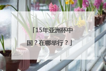 15年亚洲杯中国？在哪举行？