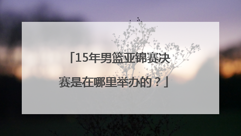 15年男篮亚锦赛决赛是在哪里举办的？