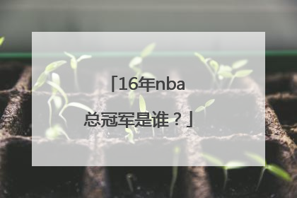 16年nba总冠军是谁？