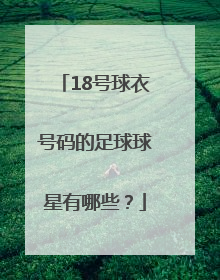 18号球衣号码的足球球星有哪些？