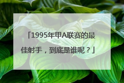 1995年甲A联赛的最佳射手，到底是谁呢？